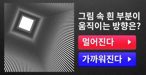 [IQ vs. EQ] 그림 속 흰 부분이 움직이는 방향은?